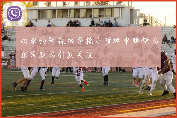 切尔西阿森纳争抢小蜜蜂中锋伊戈尔蒂亚戈引发关注