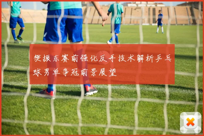 樊振东赛前强化反手技术解析乒乓球男单争冠前景展望